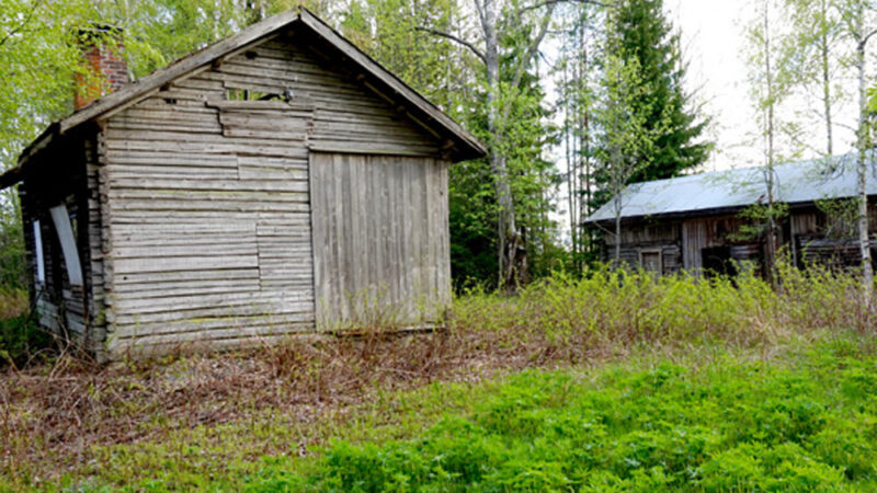 Kylmät tilat ja suuret ikäluokat