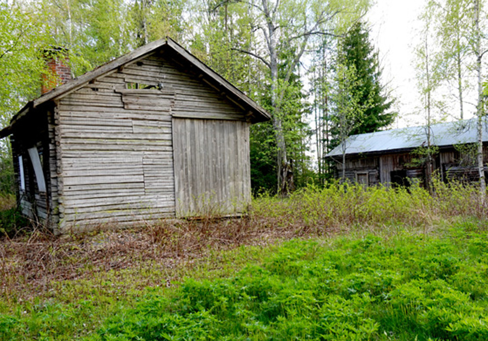 Kylmät tilat ja suuret ikäluokat
