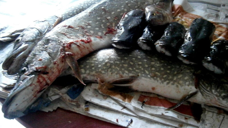 Suomi Afganistanissa vuosina 2001-2021