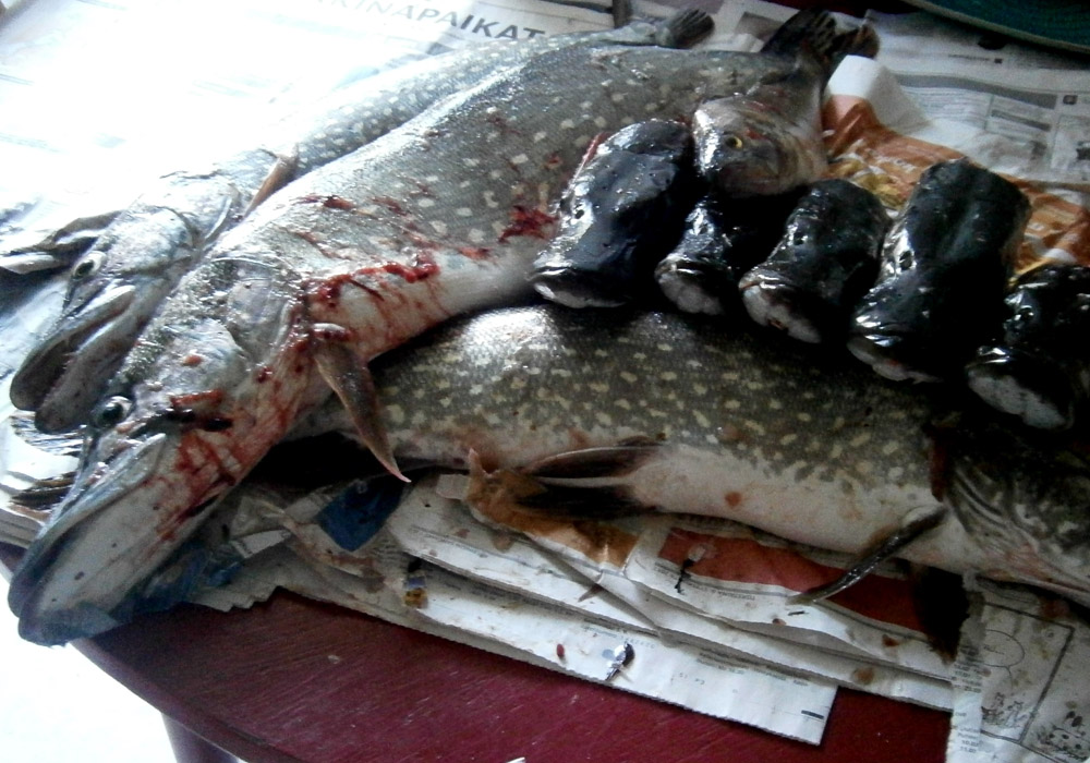 Suomi Afganistanissa vuosina 2001-2021