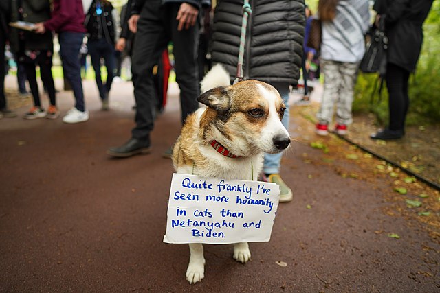 Lännen hävittyjen sotien ja varasuunnitelmien helminauha