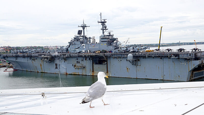 Vapaudeton sananvapaus