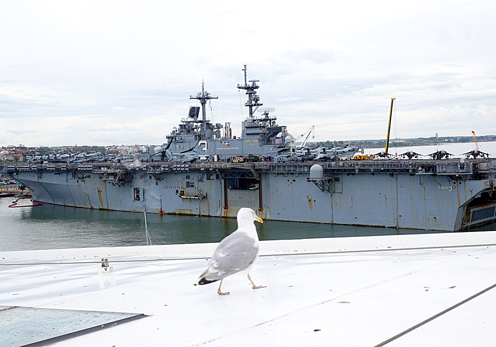 Vapaudeton sananvapaus