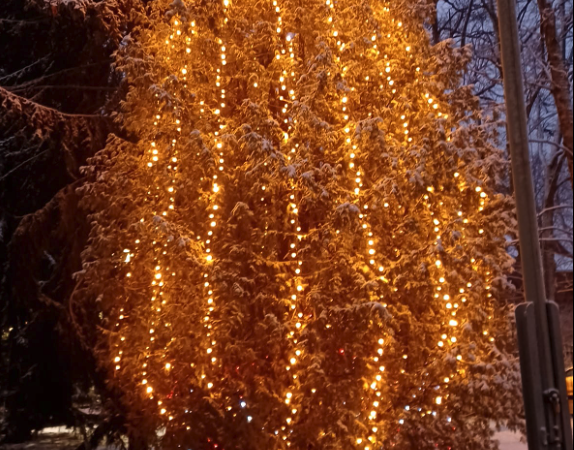 Venäjän lähettiläälle ei kutsua linnaan tänäkään vuonna – Suomi on muuttunut noitavainojen maaksi