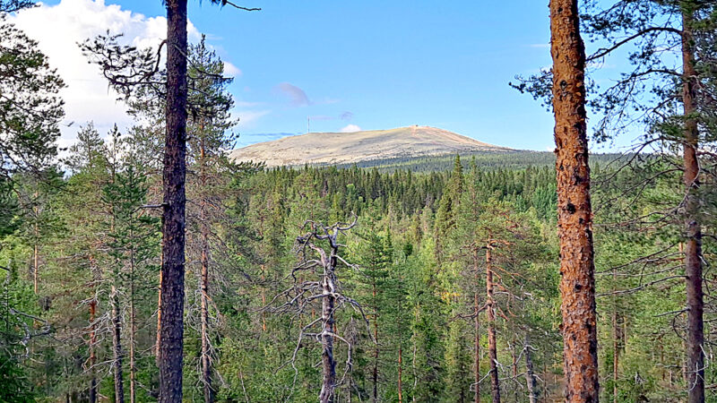 Pohjoinen ohjelma – kaikkea hyvää kaikille