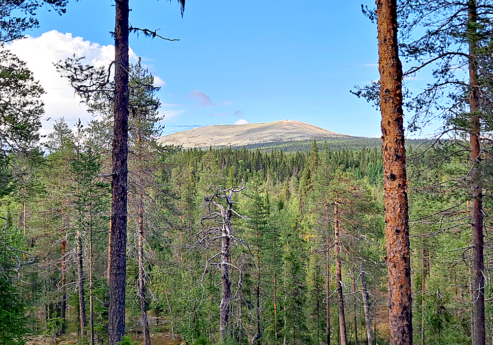 Pohjoinen ohjelma – kaikkea hyvää kaikille