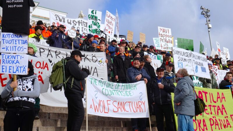 Ruoka ja terveys konnien käsittelyssä